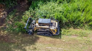 Cutting Grass and Small Trees with the Shearex [upl. by Clothilde404]