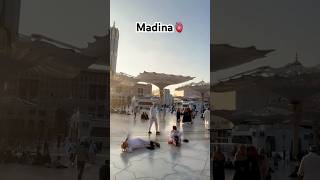 Madina view  roza rasool’s place🫀shorts viralshorts madina muhammad [upl. by Ysnil587]