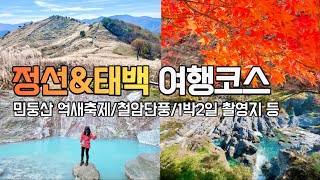 1박2일 촬영지 강원도 정선 태백 여행코스 민둥산 억새축제철암단풍축제구문소 여행일 2023년10월 국내여행 가을여행지 단풍여행 [upl. by Hike97]