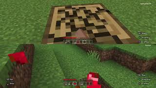 Minecraft coop S1 Ep1 [upl. by Chlores]