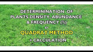 Determination of Plants Density Abundance and Frequency using Quadrats Method Practical [upl. by Appledorf]