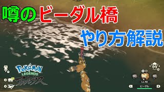 【レジェンズアルセウス】今話題のビーダル橋のやり方解説します！ [upl. by Eide]