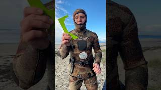 Crab diving gear talk [upl. by Abana]