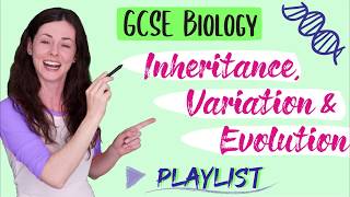 Inheritance Variation and Evolution GCSE Biology amp Combined Science 91 Playlist Thankyou [upl. by Batruk]