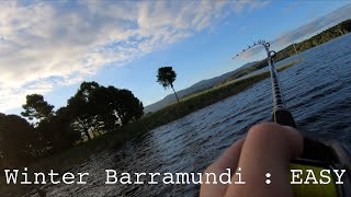 Tinaroo Fishing  How to catch winter barra easy [upl. by Llertniuq]