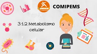 3 12 Metabolismo celular COMIPEMS [upl. by Ynehpets]