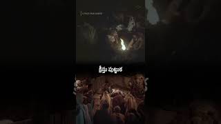 saviorjk christmas jesus love jesuschrist cristiansongs music jesusbirth [upl. by Atteynod]