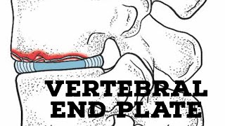 Vertebral end plate [upl. by Dorey]