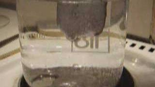 woods metal melting in hot water [upl. by Killam493]