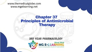 Principles of Antimicrobial Therapy Chapter 37 Chemotherapeutic Drugs Lipponcott Pharmacology [upl. by Pilar156]