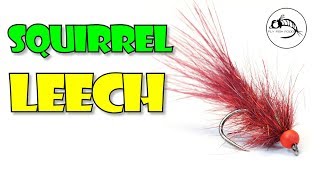 Fly Tying Tutorial Mini Squirrel Leech  Blend Your Own DUBBING [upl. by Ennobe]