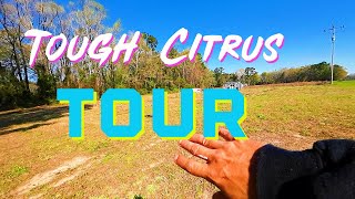 Part 1  Tough Citrus Grove Tour NC 💪🍊 Spring 24’ Update  What Survived The Winter ❄️ [upl. by Kiele]