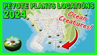 Peyote Plants Locations Map Waterplants Version May 2024  GTA 5 Online [upl. by Yonita]