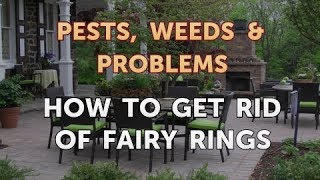 How to Get Rid of Fairy Rings [upl. by Pancho959]