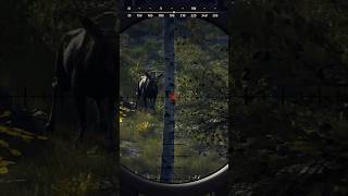 Die erste Jagd auf der neuen Map 🦌🌲  Way of the Hunter [upl. by Sue112]