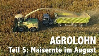 Lohnunternehmen Agrolohn Maisernte im August [upl. by Lorenza]