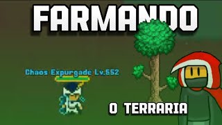 🚨 Live ON Farmando KKs para comprar o Terraria PARTE 2 rucoyonlinemmorpg live [upl. by Ellerihs]