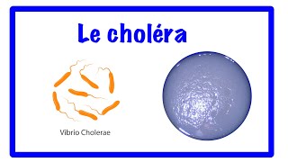 🔵Le Choléra diarrhée sécrétoire [upl. by Edla454]