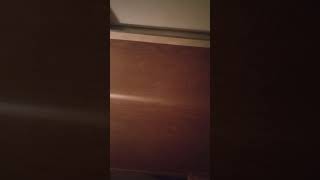 1 minute of the bottom of one of my bunk beds in my room [upl. by Yard]