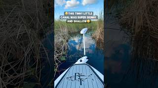 Cruising through the Everglades on my skiff ​⁠beavertailskiffs urbanfloridafishing fishing [upl. by Donaldson]