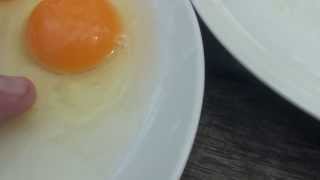 Difference between a fertilised and unfertilised chicken egg [upl. by Winter]