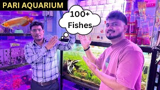 New Pari Aquarium at Kurla Aquarium Fish Market [upl. by Ozzie]