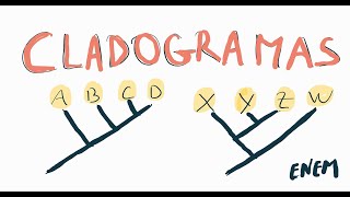 CLADOGRAMAS NO ENEM [upl. by Mcneely44]