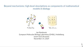 WG Virtual Seminars Rombouts Coarse Graining of Complex Biological Mechanisms November 14 2024 [upl. by Kciredorb]