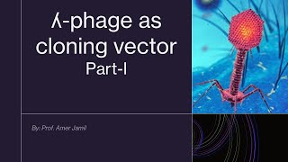 Lambda phage as cloning vector part I Recording [upl. by Tingley]