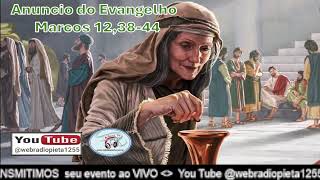 EvangelhodoDiaWebRadioPietatv 32º Domingo do Tempo Comum – 101124 [upl. by Burn]