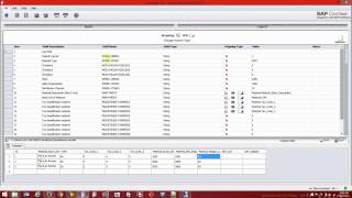 Access  SAP Demo with Winshuttle Transaction [upl. by Halik]