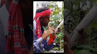 Keno Piriti Badaila Re Bondhu On Flute bashirsur bashirsurmithun flute [upl. by Haissem]