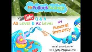 MrPollockBiology QampA 4 Humoral Immunity [upl. by Montgomery2]