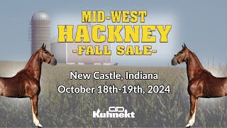 Pony Sale  2024 Midwest Hackney Fall Sale [upl. by Halle381]