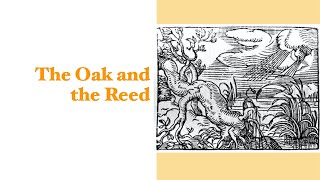 The Oak and the Reed [upl. by Mackenie]