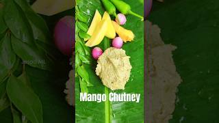 Mango Chammanthi Mango chutney foodshorts mangochatni mangorecipe chutneyrecipe [upl. by Josefa869]