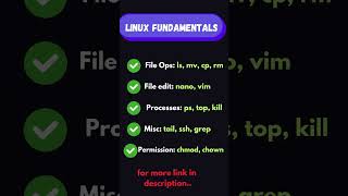 Unlock the Power of Linux with These Quick Commands 🚀 shorts linux developer ubuntu grep [upl. by Jarad]