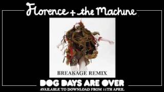 Florence and the Machine  Dog Days Are Over Breakage Remix [upl. by Bernardi]