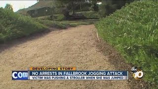 Sheriffs Dept Fallbrook woman pushing stroller attacked sexually assaulted [upl. by Hintze510]