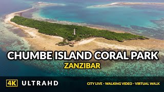 4K Chumbe Island Coral Park ❤️ Tropical Private Island Tour Zanzibar Attractions [upl. by Inaffit]