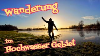 Wanderung entlang der Aller bei Hochwasser Richtung Celle  Niedersachsen Residenzstadt Celle [upl. by Denman]