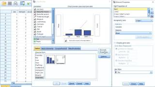 SPSS Diagrams  Pareto plot [upl. by Ithsav]