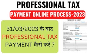 How to Pay Professional Tax Online in Bihar  पेशाकर रु 2500 का Payment किसे करना है [upl. by Draillih92]