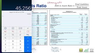 Financial Statement Analysis DebttoAssets Ratio [upl. by Tresa177]