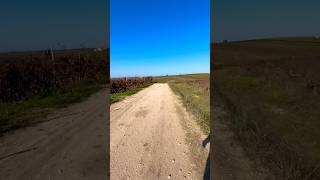 Trail run trailrun trailrunner offroad [upl. by Shishko229]