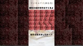 【ステレオグラム】☀マジカルアイ解答集☀みなさん合っていたでしょうか？？shortsステレオグラムstereograms視力回復3D立体視3Dvideoマジカルアイ [upl. by Nabila61]