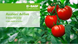 Axalion Active Insecticide A New Mode of Action [upl. by Lednew]