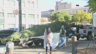 South Carolina Christmas tree arrives at State House on Tuesday [upl. by Lramaj]