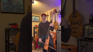 Bass Bow Solo nsdesign electric doublebass bass fun instrumental funk rock music shorts [upl. by Setiram]