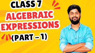 ALGEBRAIC EXPRESSIONS  PART 1   BASIC INTRODUCTION amp ALL CONCEPTS  CLASS 7 [upl. by Cramer]